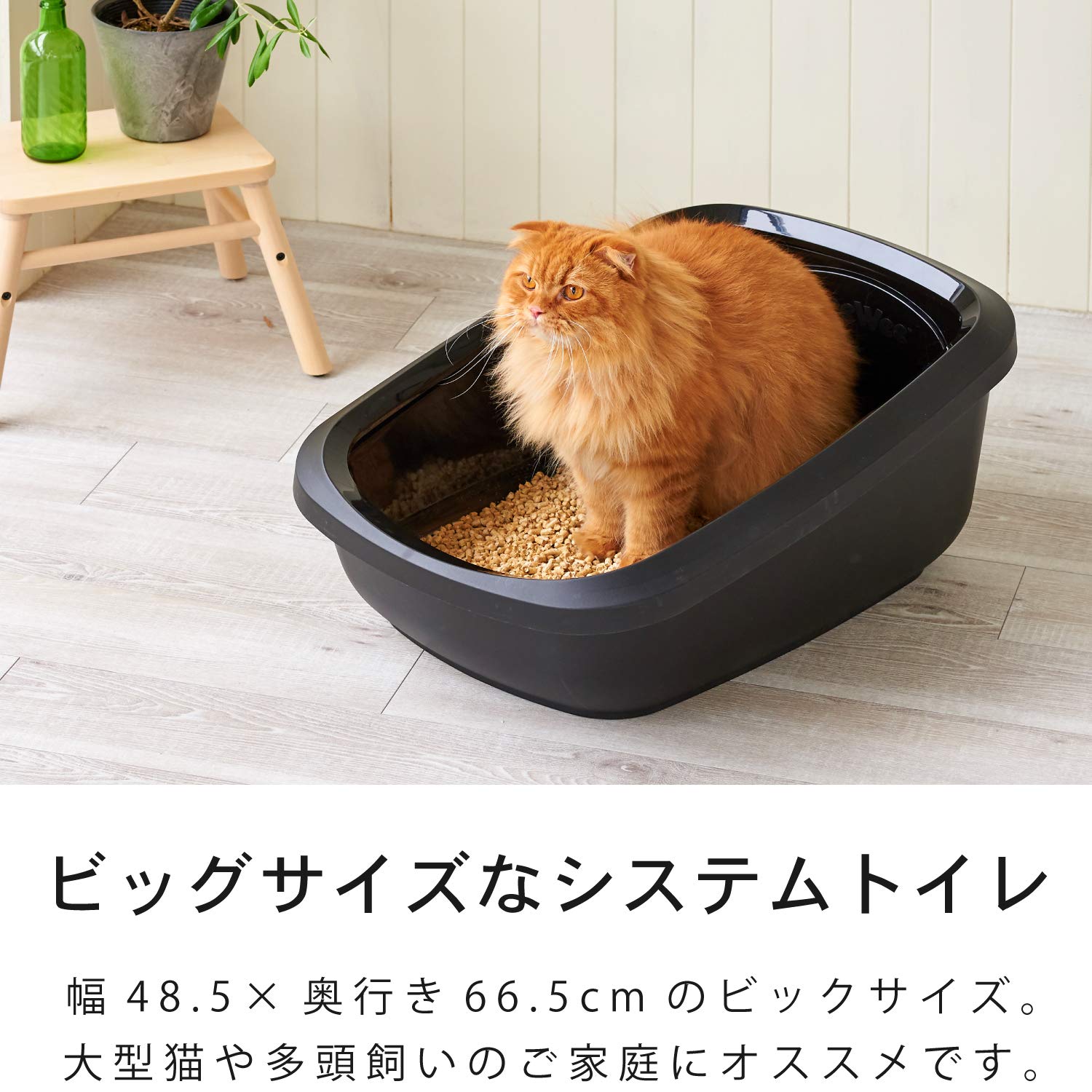 Amazon | 【OFT】 PeeWee エコビッグ ブラック 本体+木製ペレット猫砂